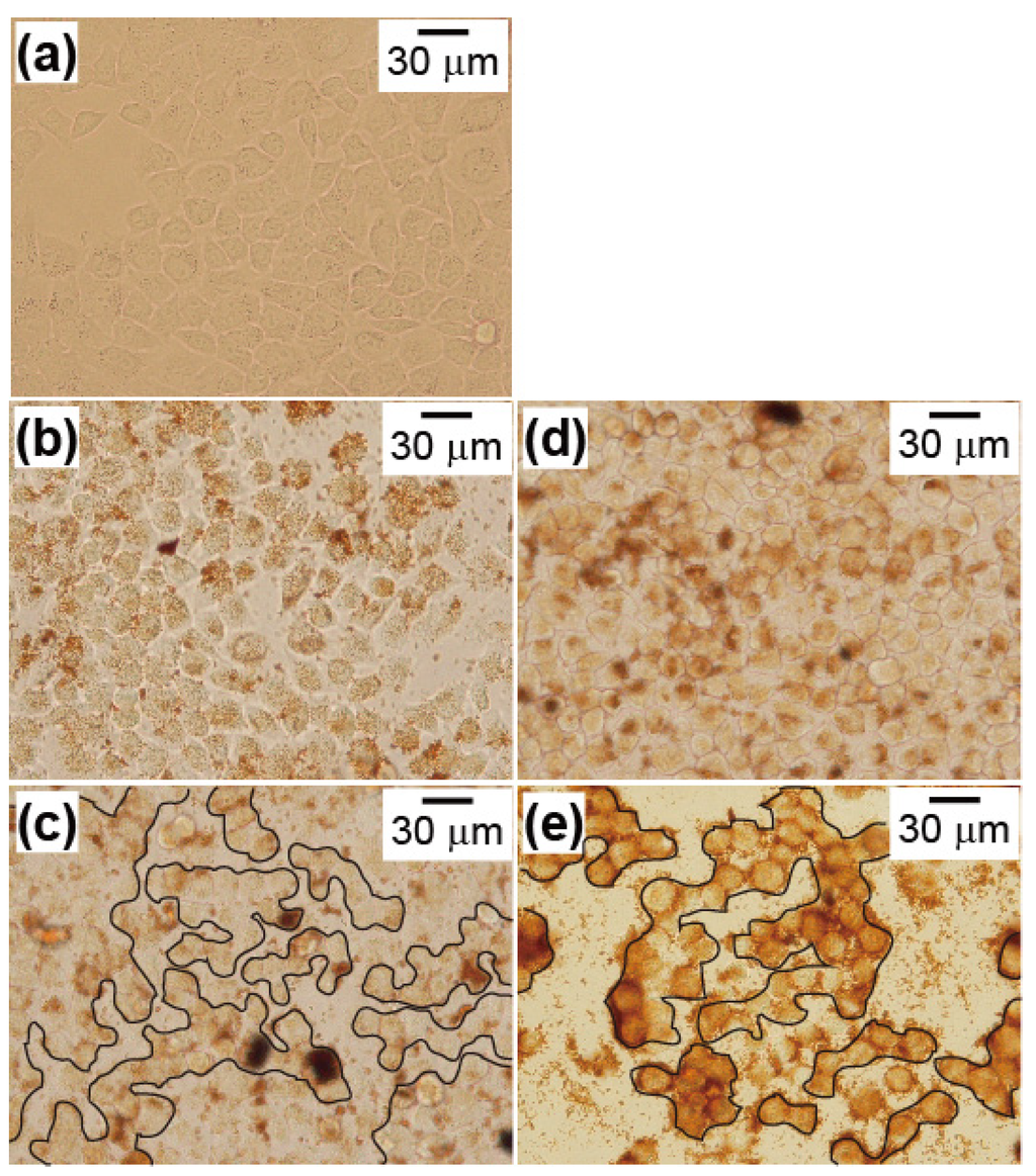 Nanomaterials 04 00319 g008 1024