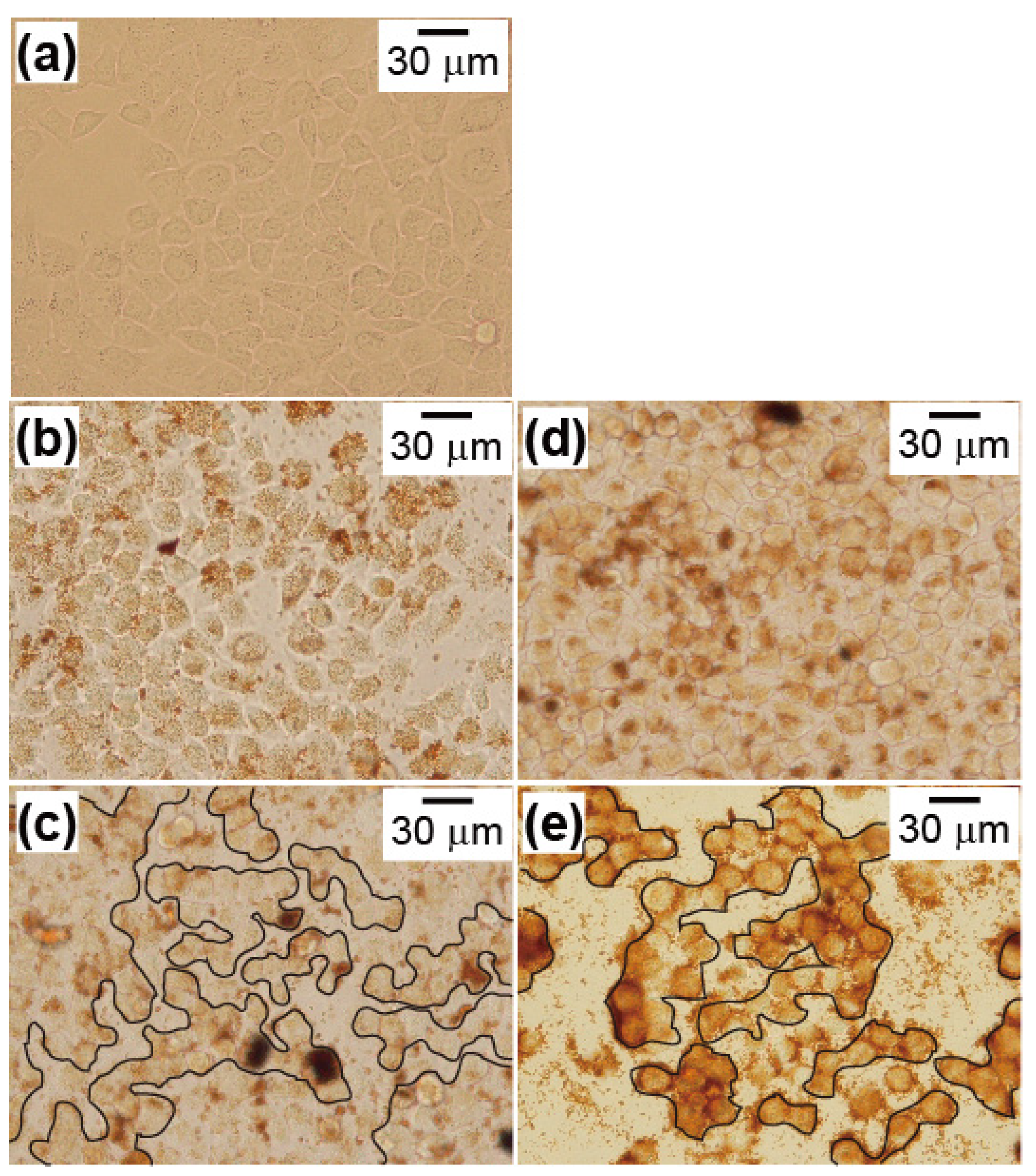 Nanomaterials 04 00319 g008