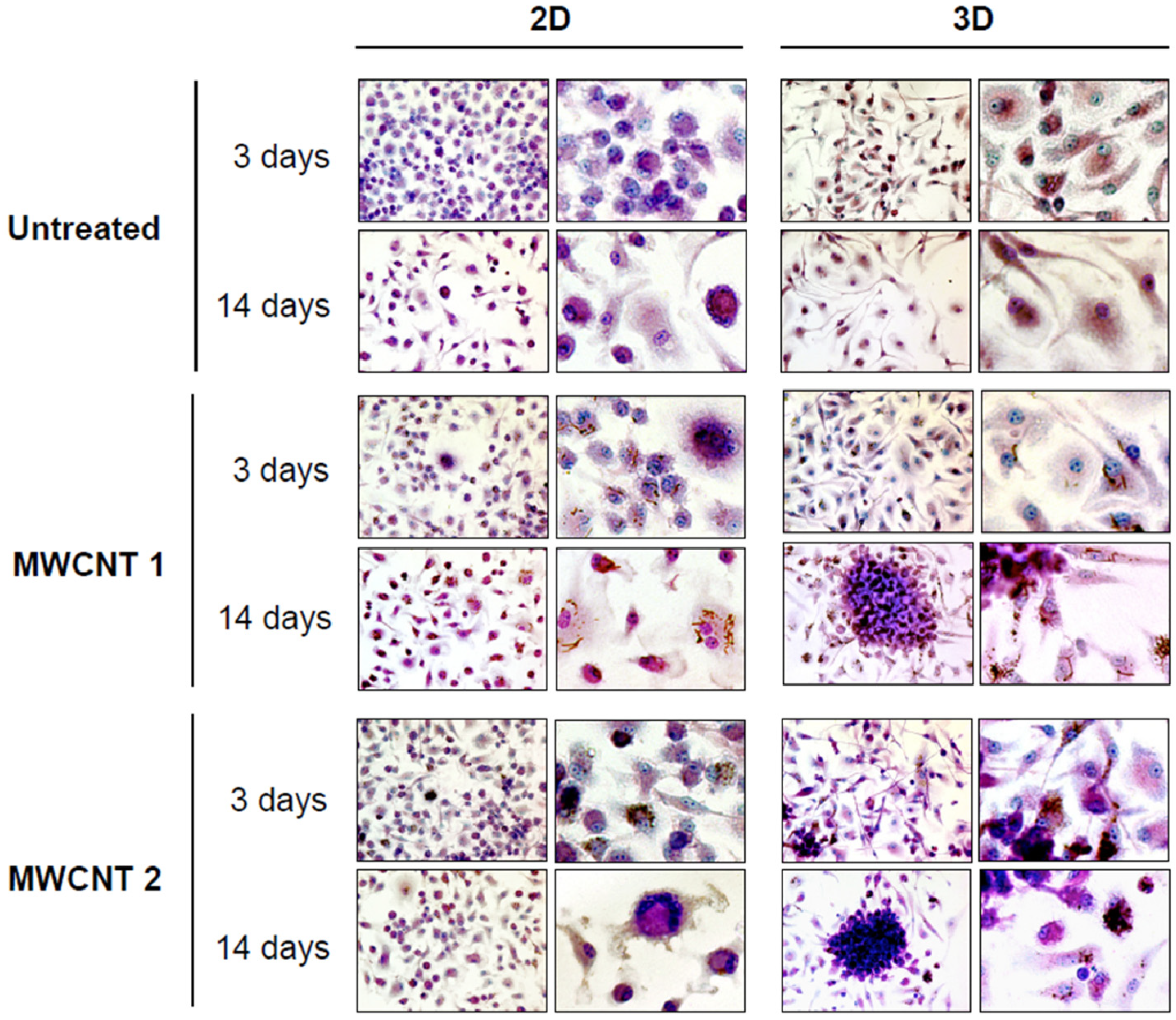 Nanomaterials 04 00454 g001