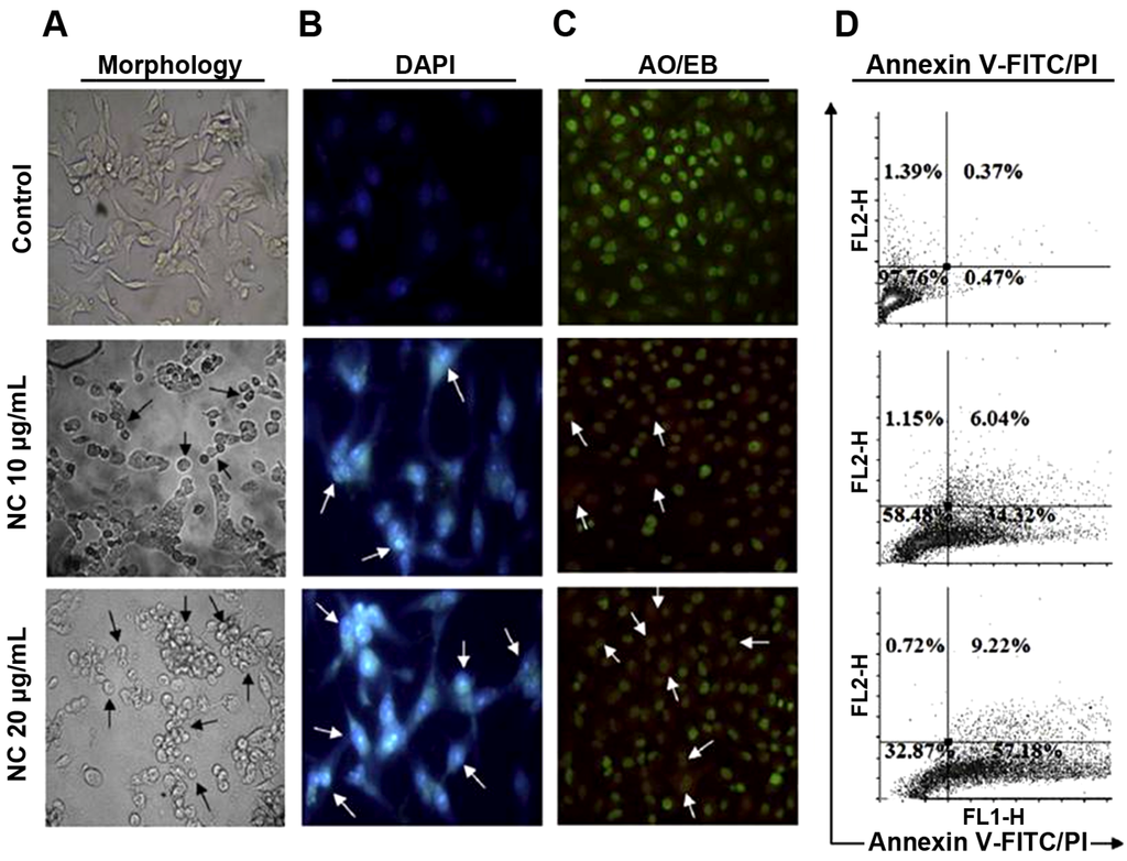 Nanomaterials 04 00454 g002 1024