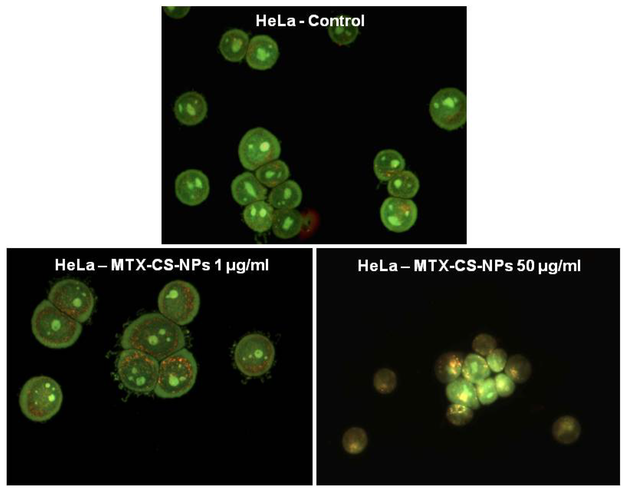 Nanomaterials 04 00454 g004