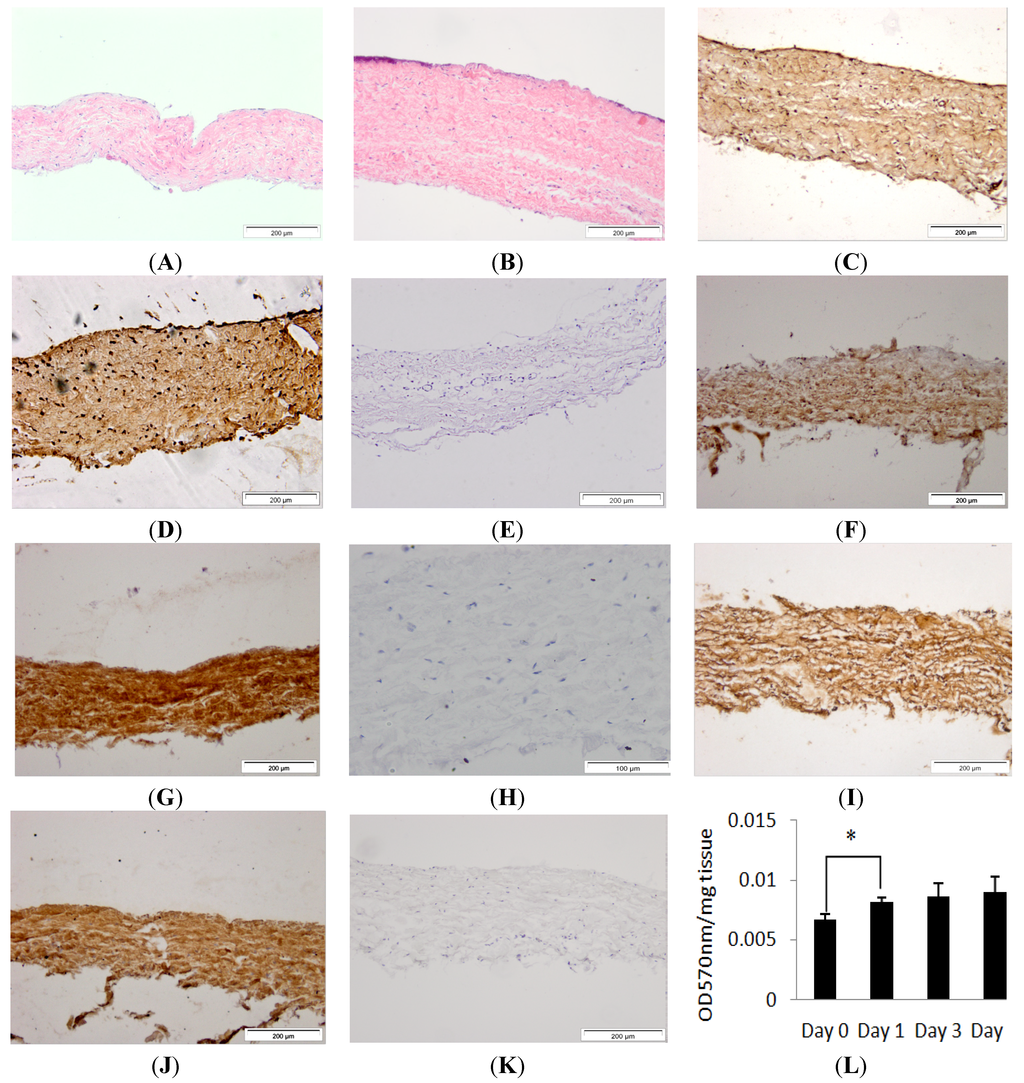 Nanomaterials 04 00485 g001 1024