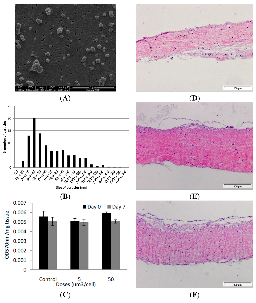 Nanomaterials 04 00485 g002 1024