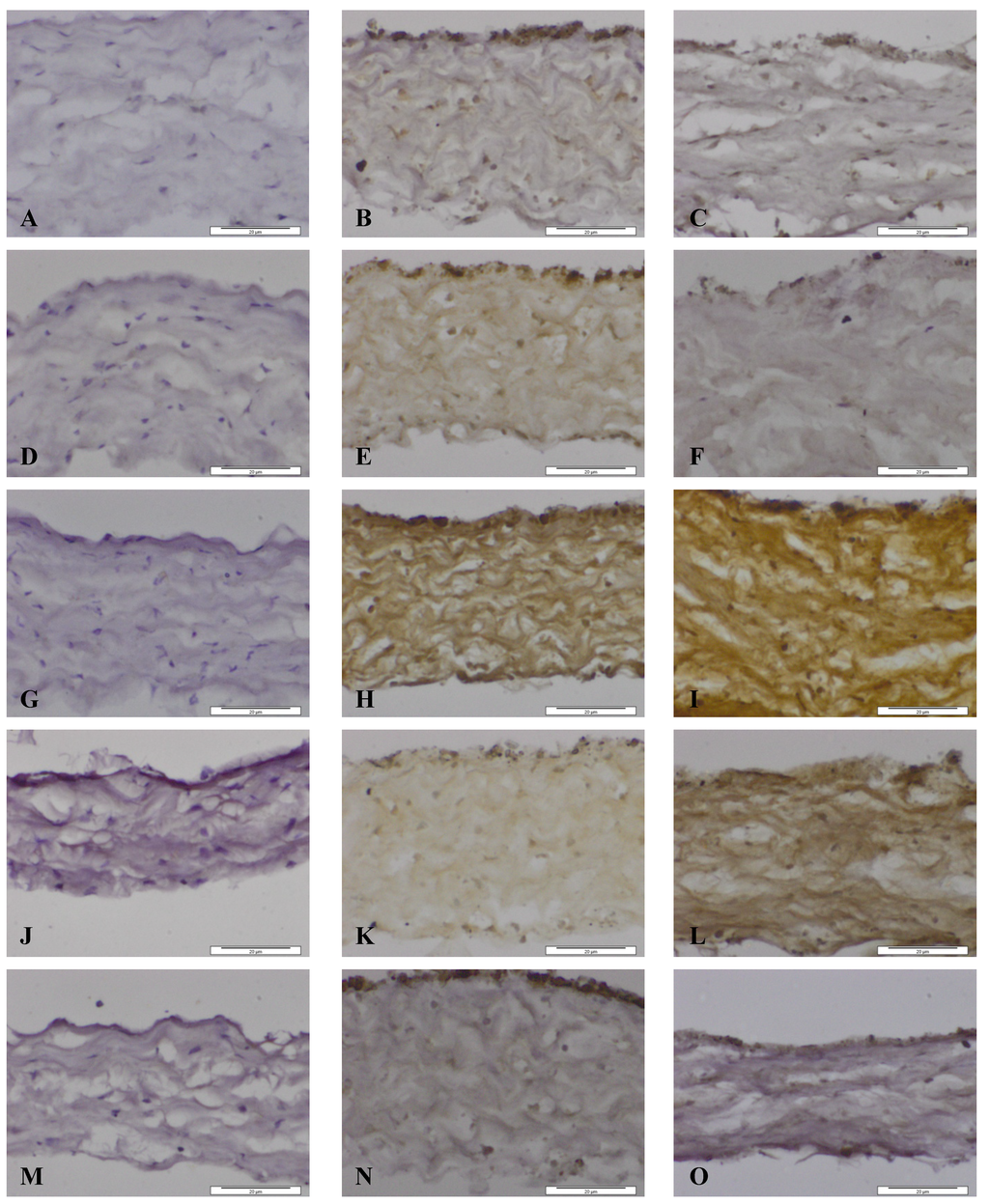Nanomaterials 04 00485 g005 1024