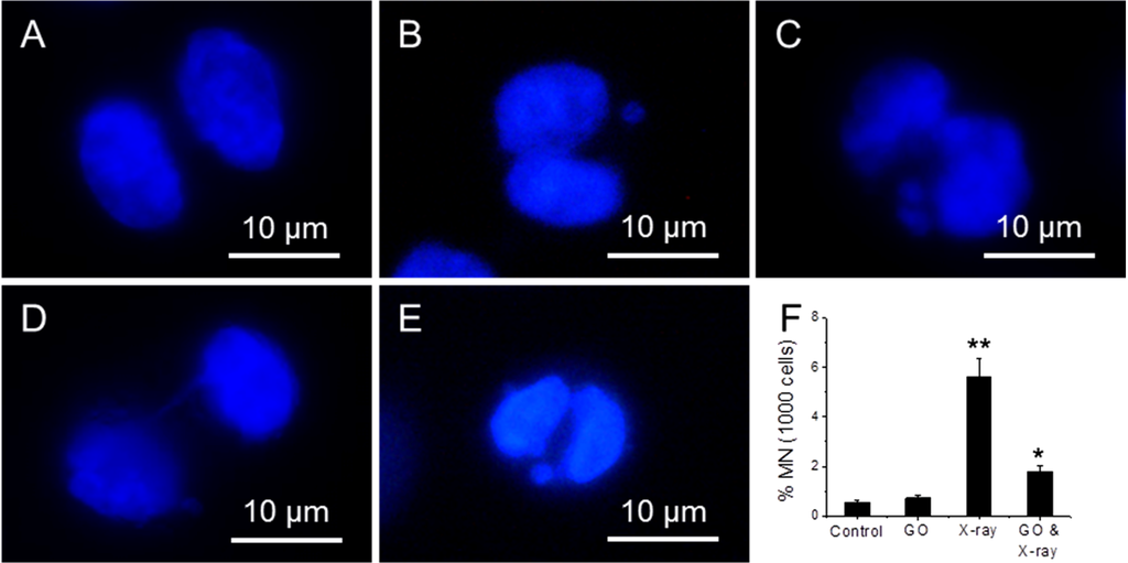 Nanomaterials 04 00522 g006 1024