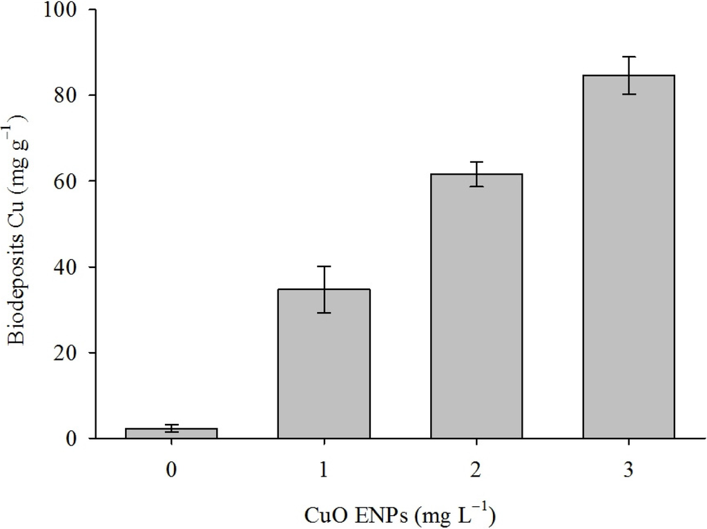 Nanomaterials 04 00535 g002 1024