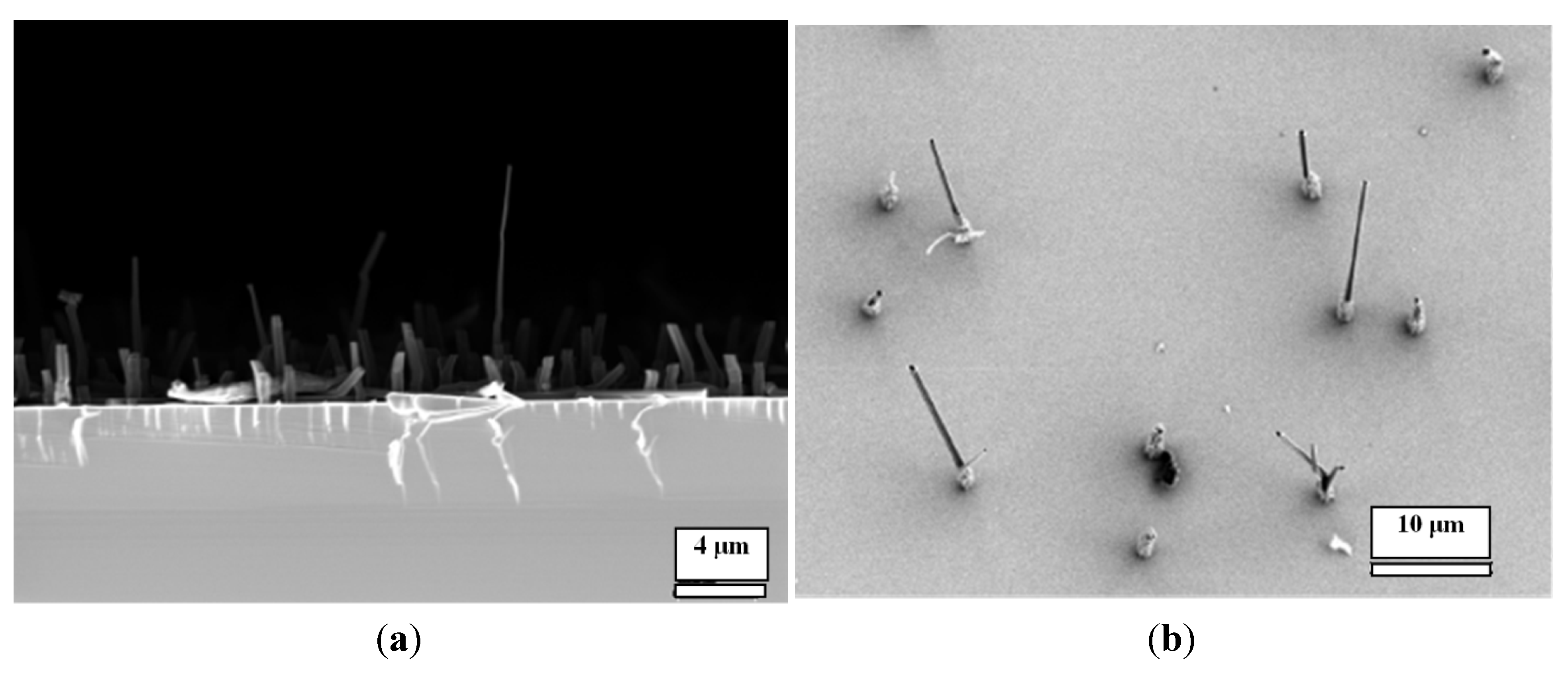 Nanomaterials 04 00768 g005