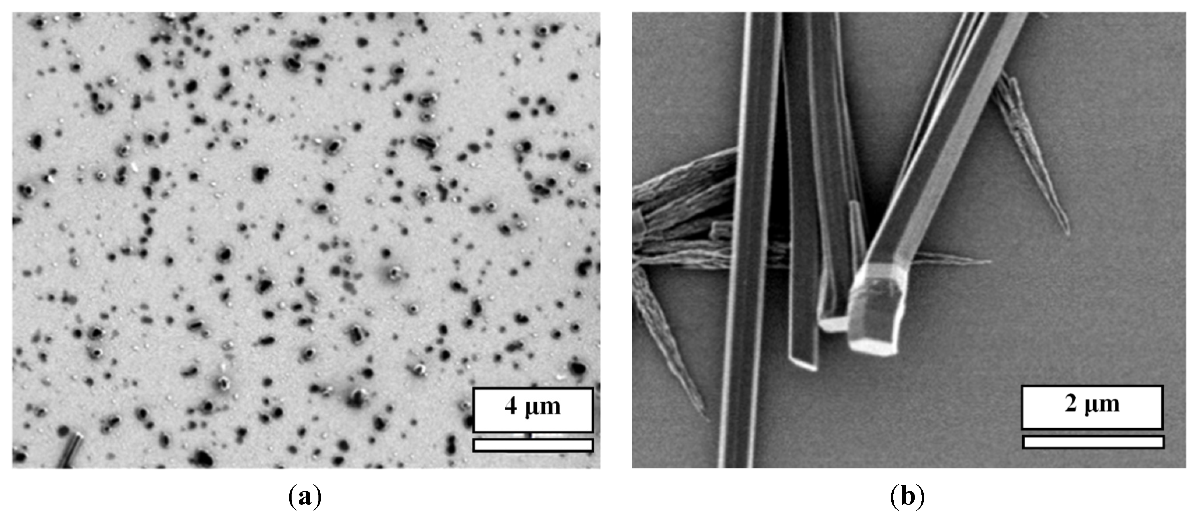 Nanomaterials 04 00768 g006