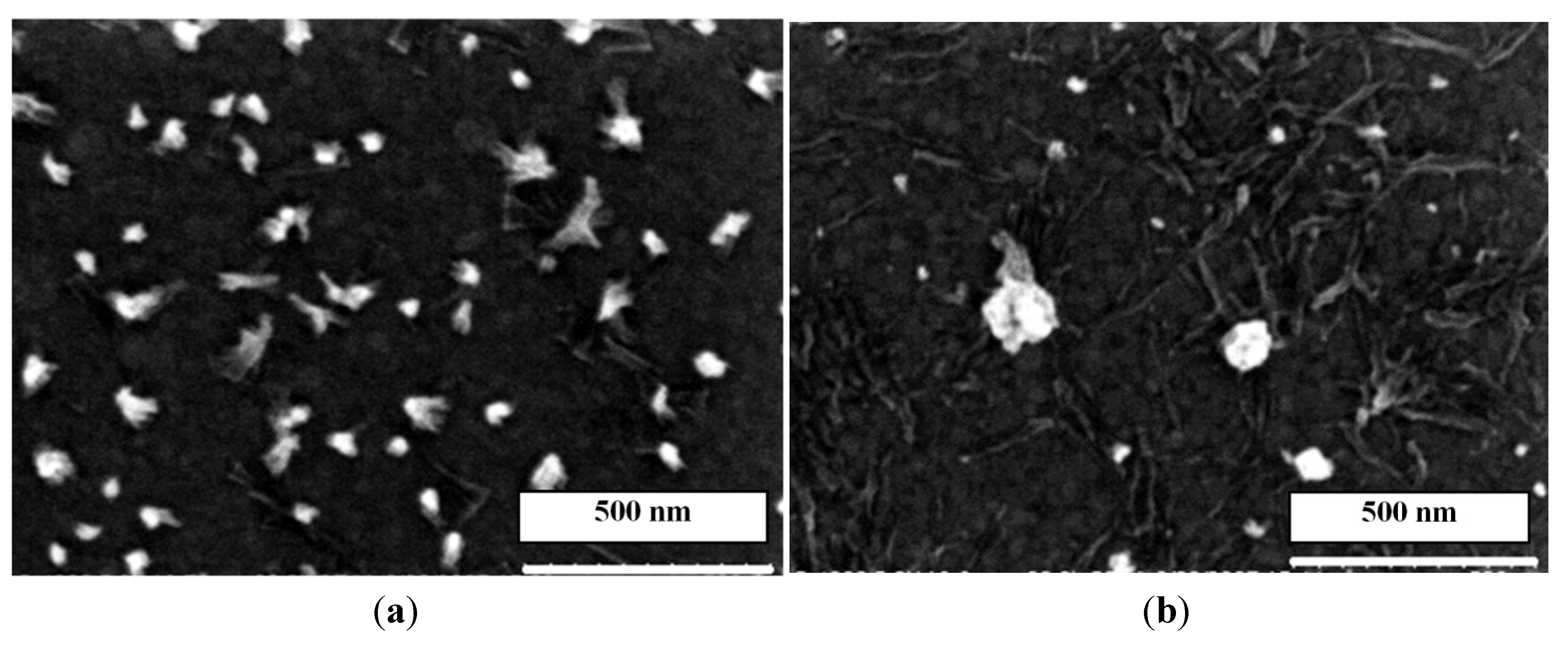 Nanomaterials 04 00768 g007