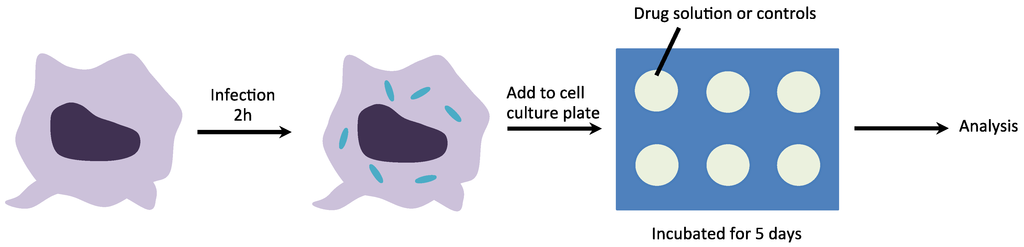 Nanomaterials 04 00813 g006 1024