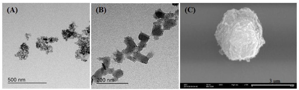 Nanomaterials 04 00894 g002 1024
