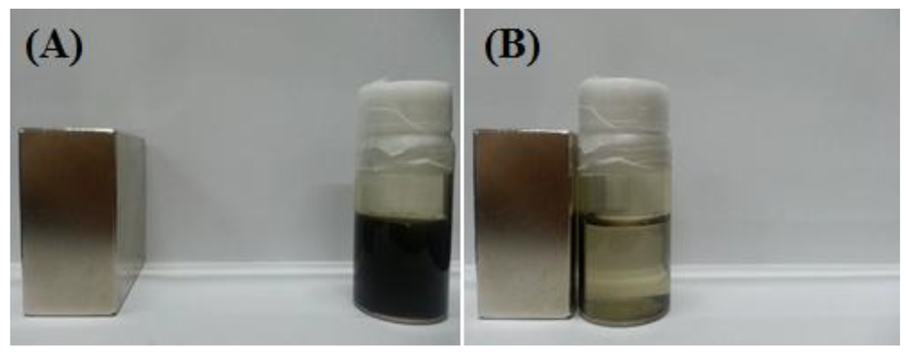 Nanomaterials 04 00894 g005 1024