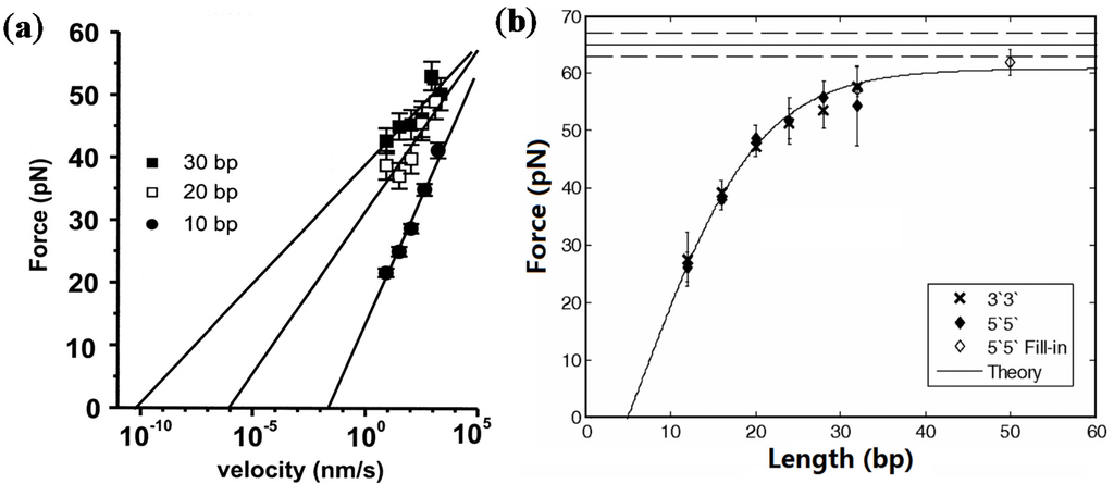 Nanomaterials 05 00246 g002 1024