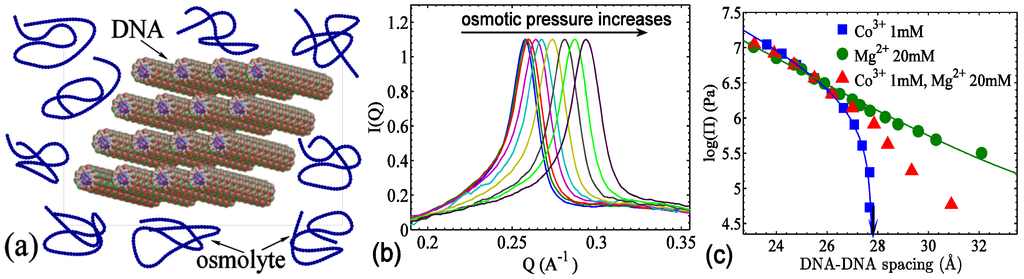 Nanomaterials 05 00246 g010 1024