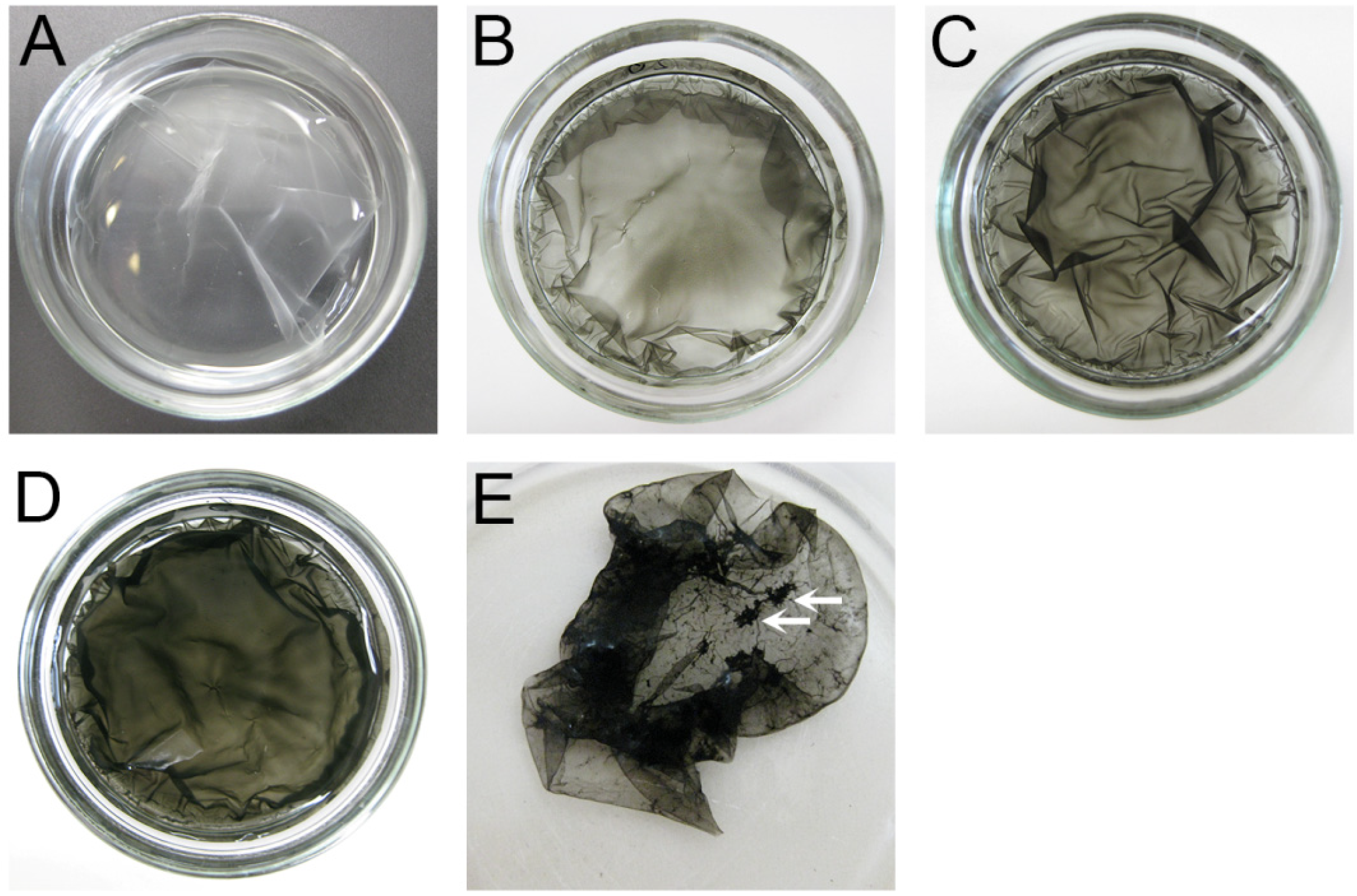 Nanomaterials 05 00270 g003