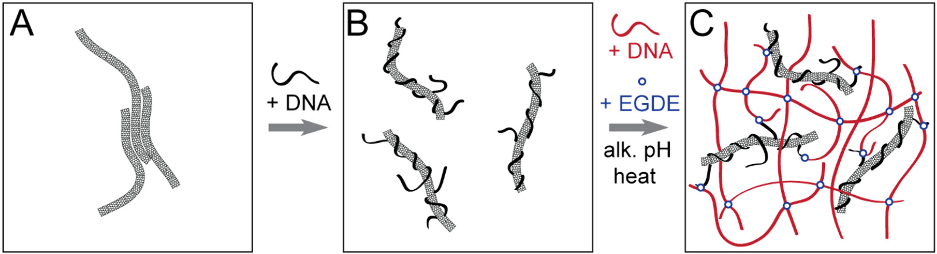 Nanomaterials 05 00270 g006