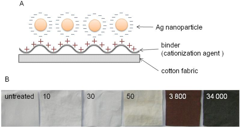 Nanomaterials 05 00284 g004 1024