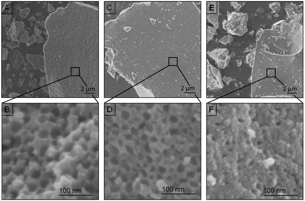 Nanomaterials 05 00425 g002 1024