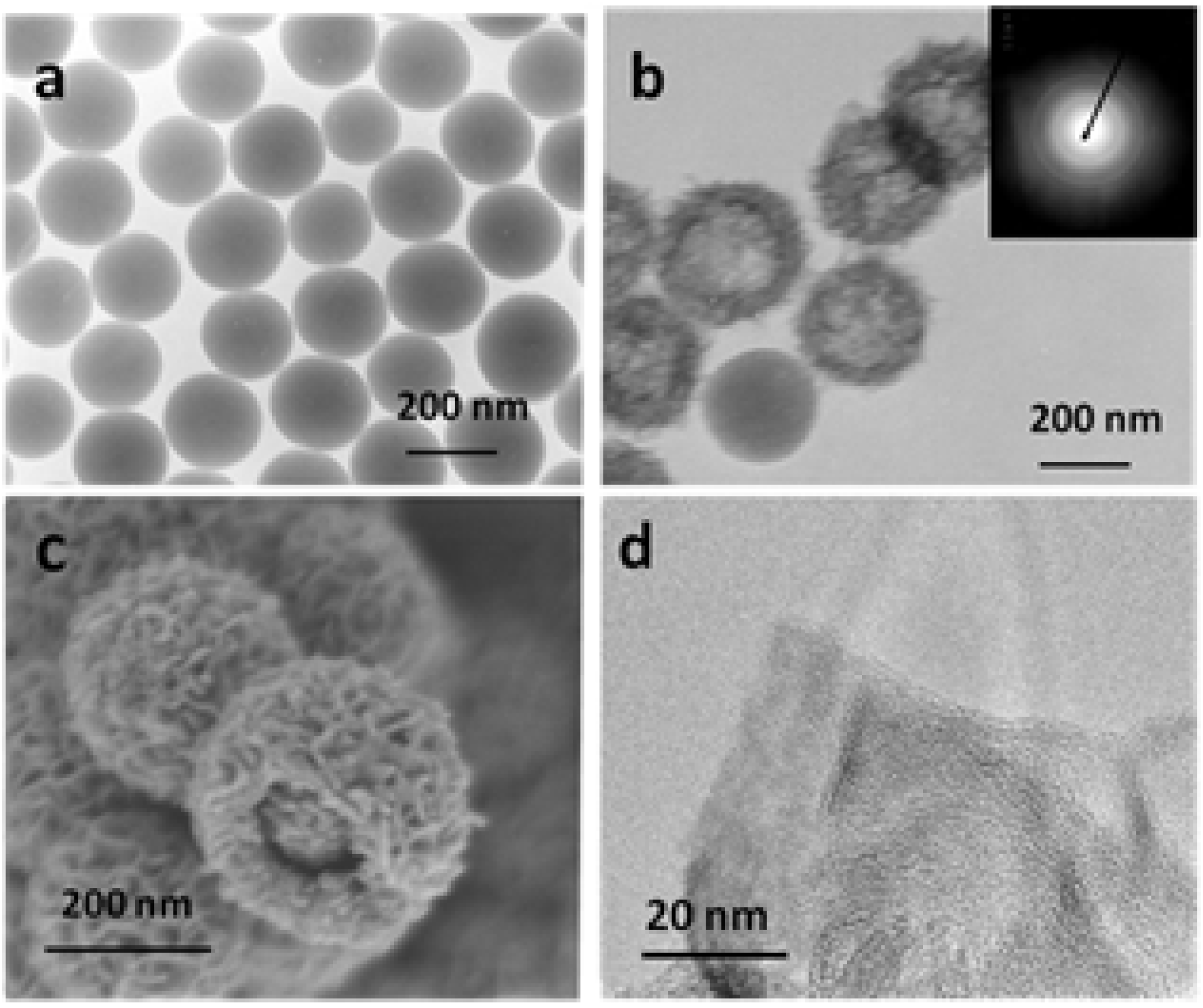 Nanomaterials 05 00554 g003