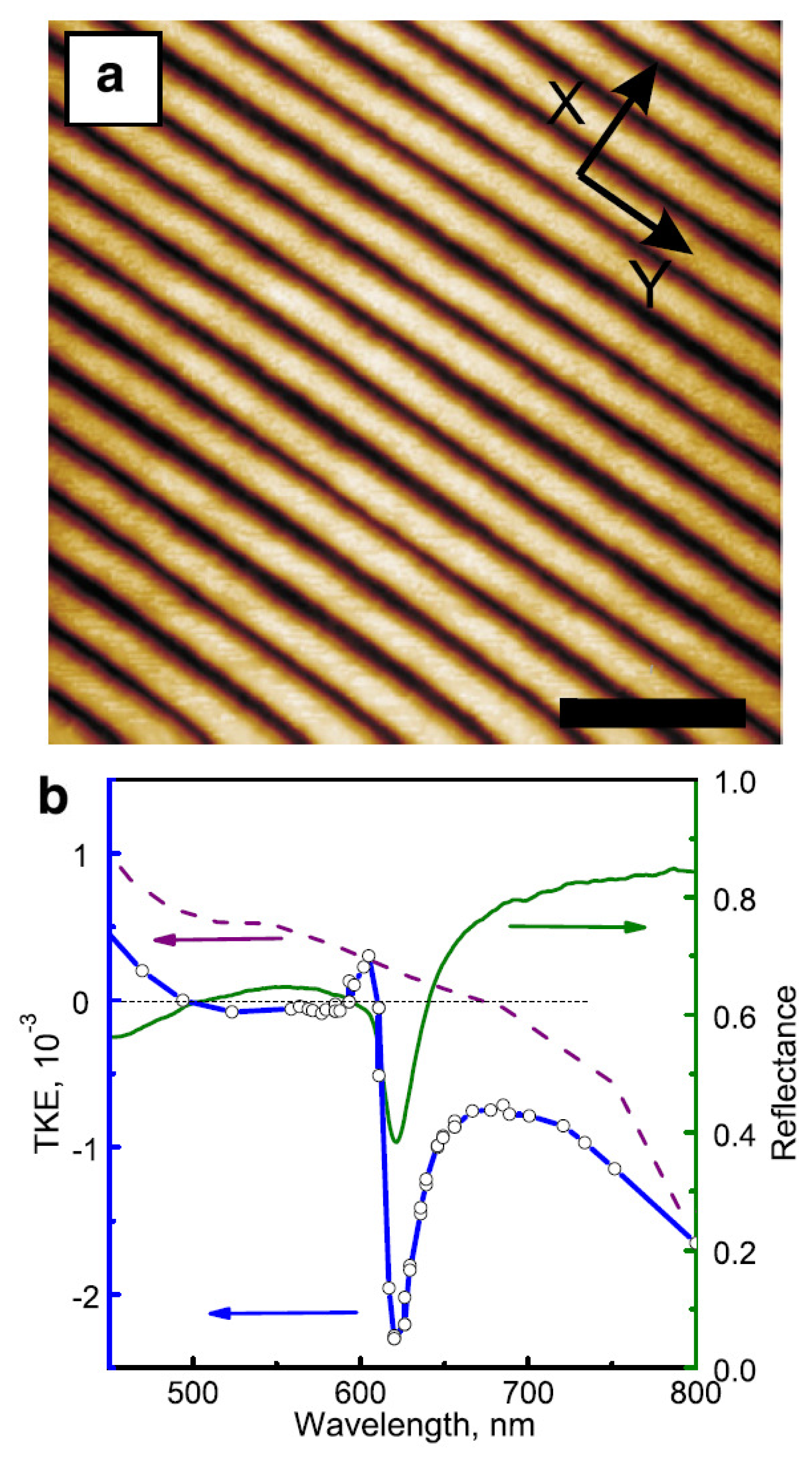 Nanomaterials 05 00577f2