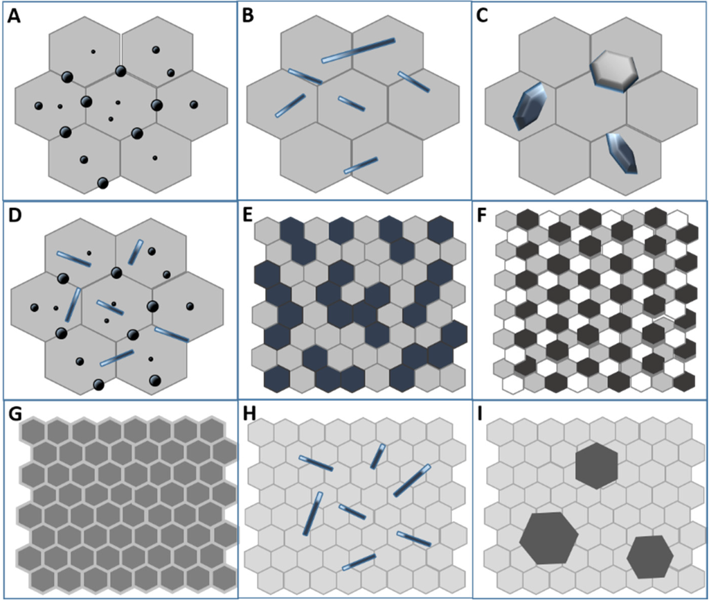 Nanomaterials 05 00656 g002 1024