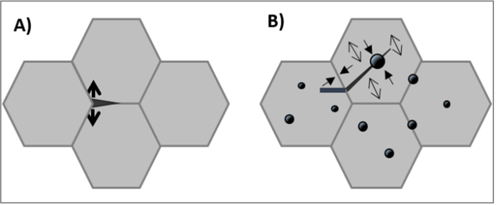Nanomaterials 05 00656 g009 1024