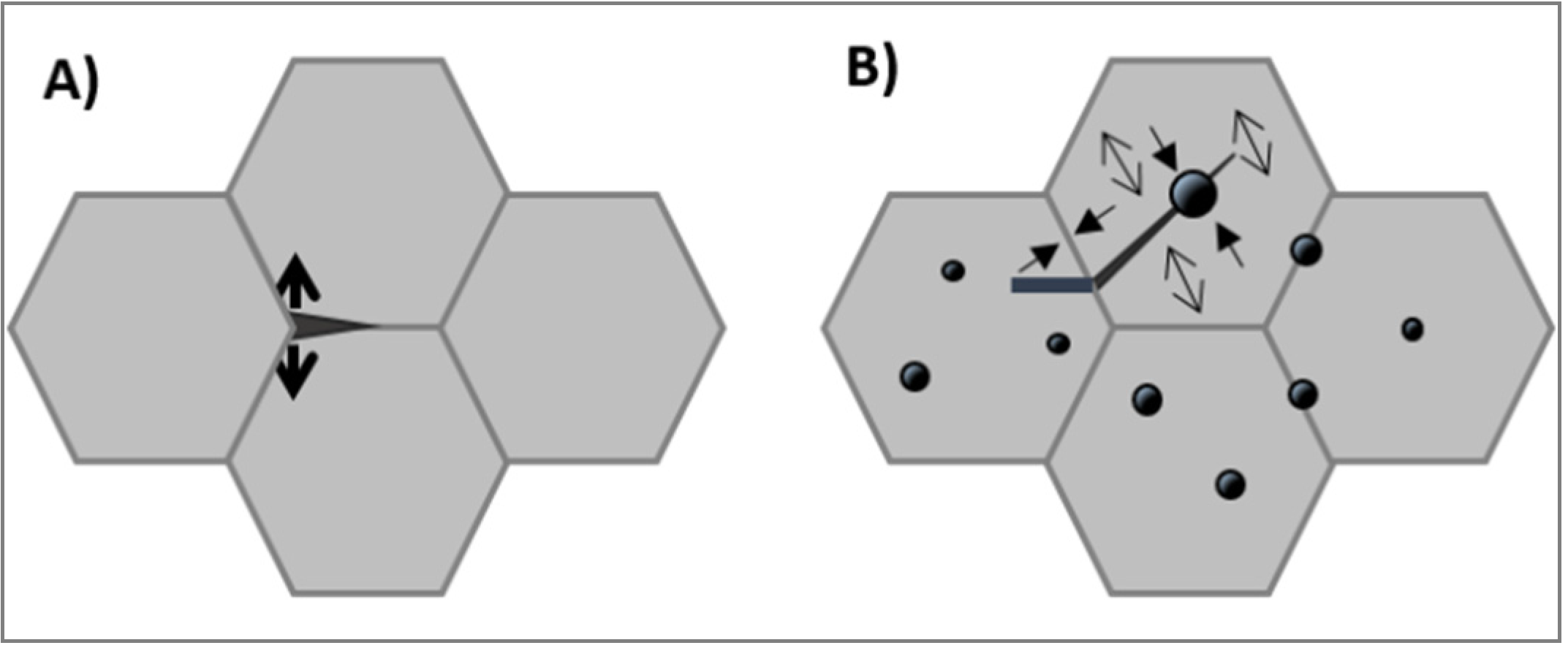 Nanomaterials 05 00656 g009