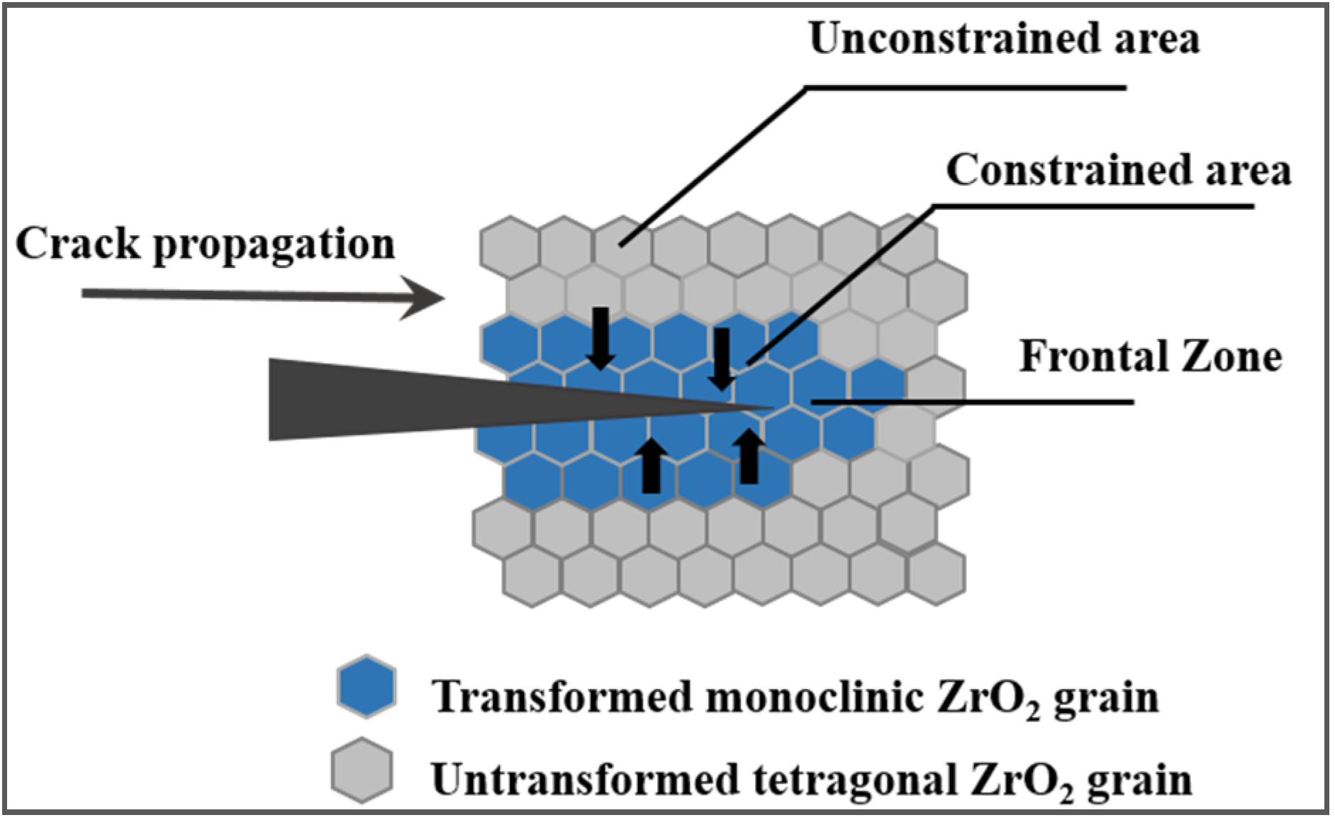 Nanomaterials 05 00656 g011