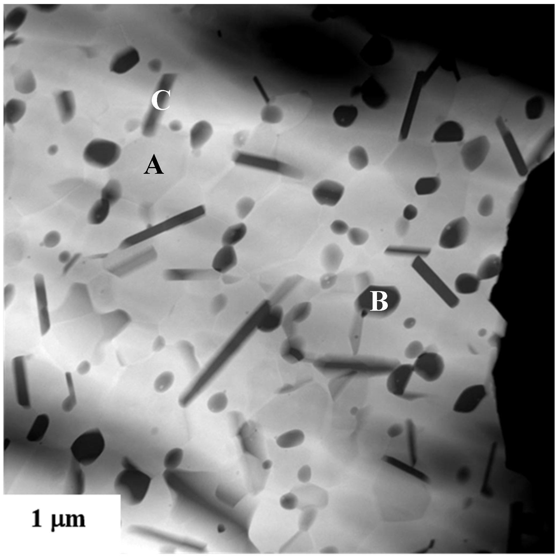 Nanomaterials 05 00656 g014