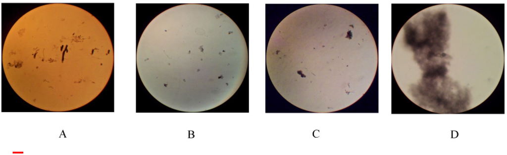 Nanomaterials 05 00722 g005 1024