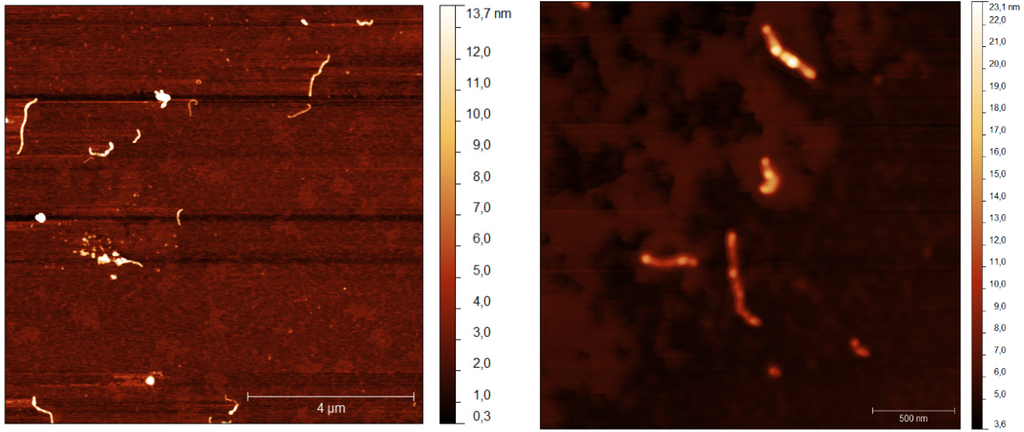 Nanomaterials 05 00722 g006 1024