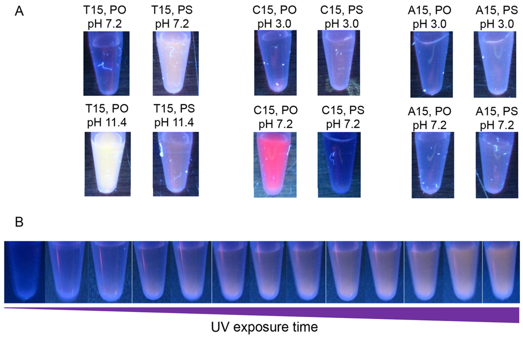 Nanomaterials 05 00804 g002 1024