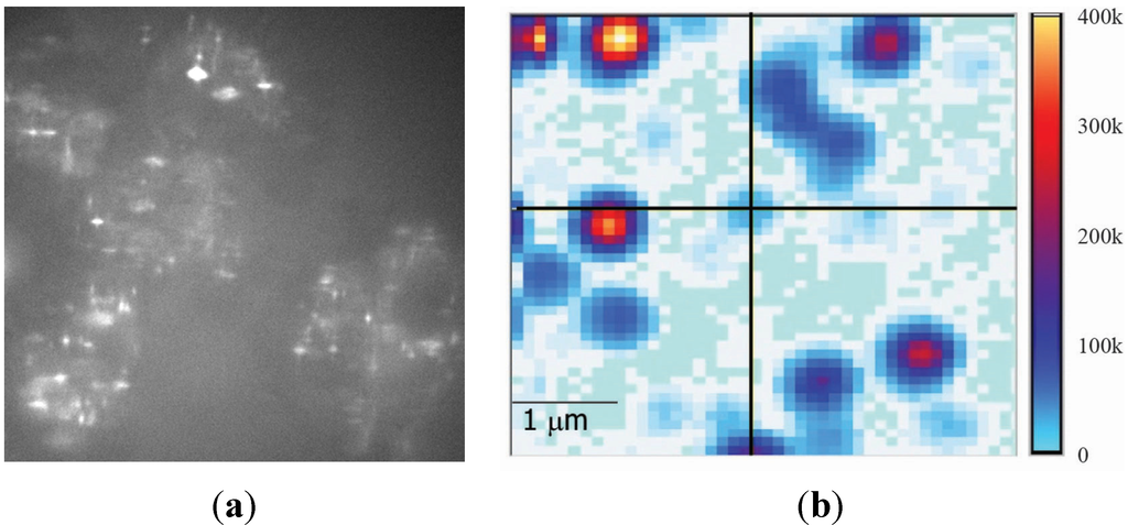 Nanomaterials 05 00895 g001 1024