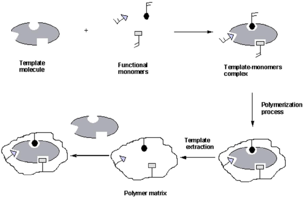 Nanomaterials 05 00981 g002 1024