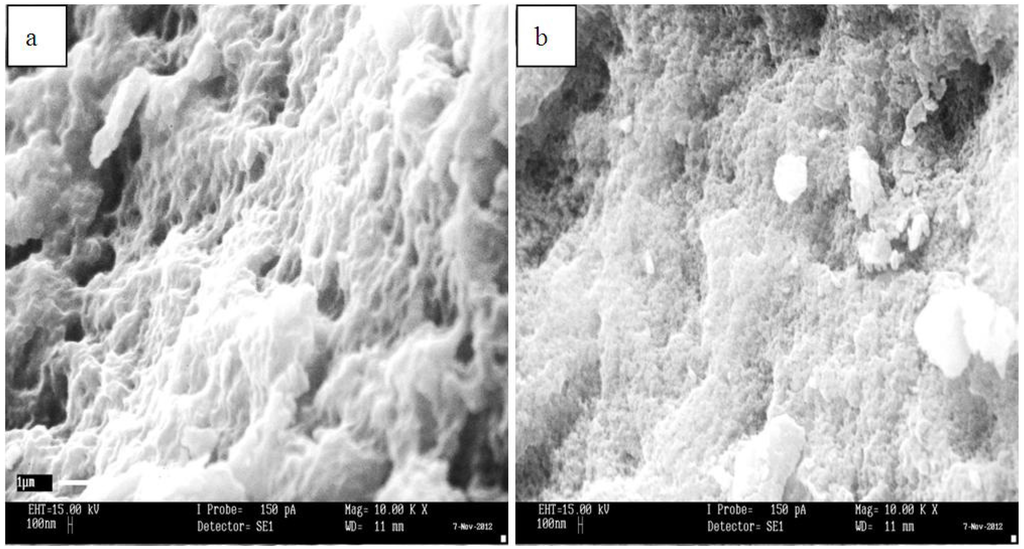 Nanomaterials 05 00981 g003 1024
