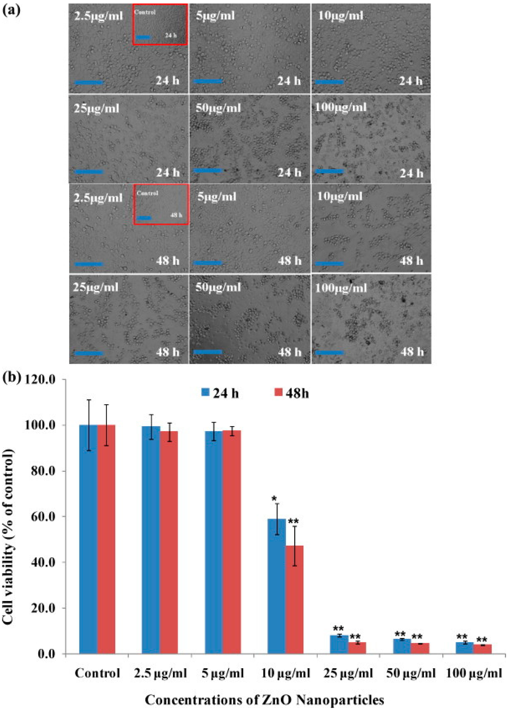 Nanomaterials 05 01004 g002 1024