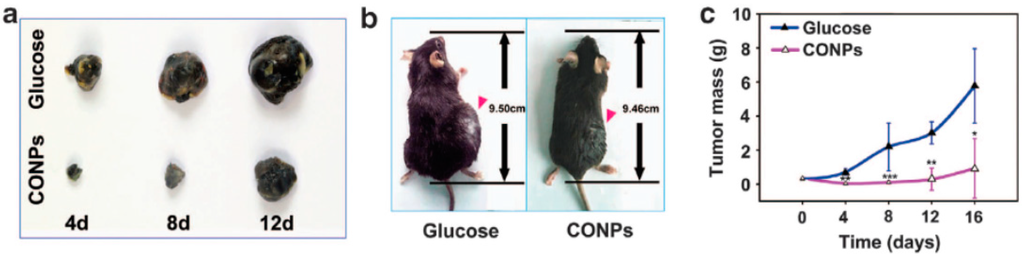 Nanomaterials 05 01004 g004 1024
