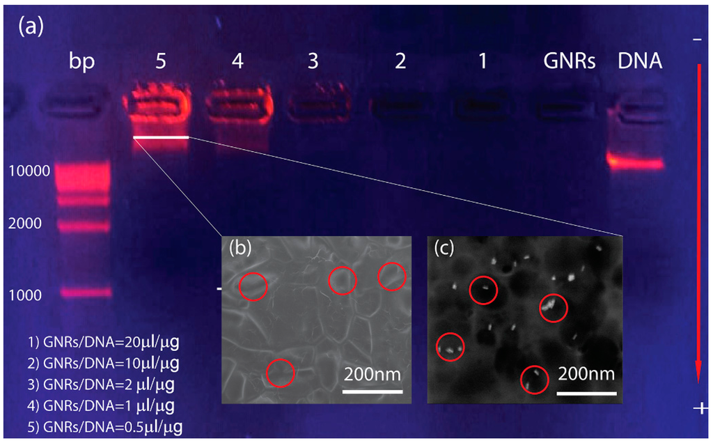 Nanomaterials 05 01022 g003 1024
