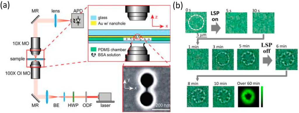 Nanomaterials 05 01048 g002 1024