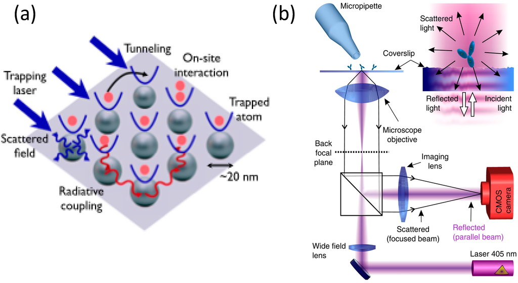Nanomaterials 05 01048 g005 1024