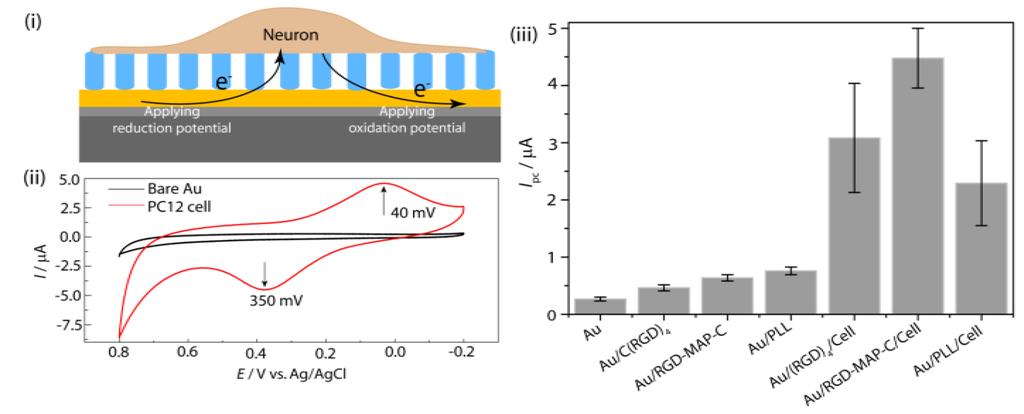 Nanomaterials 05 01181 g001 1024