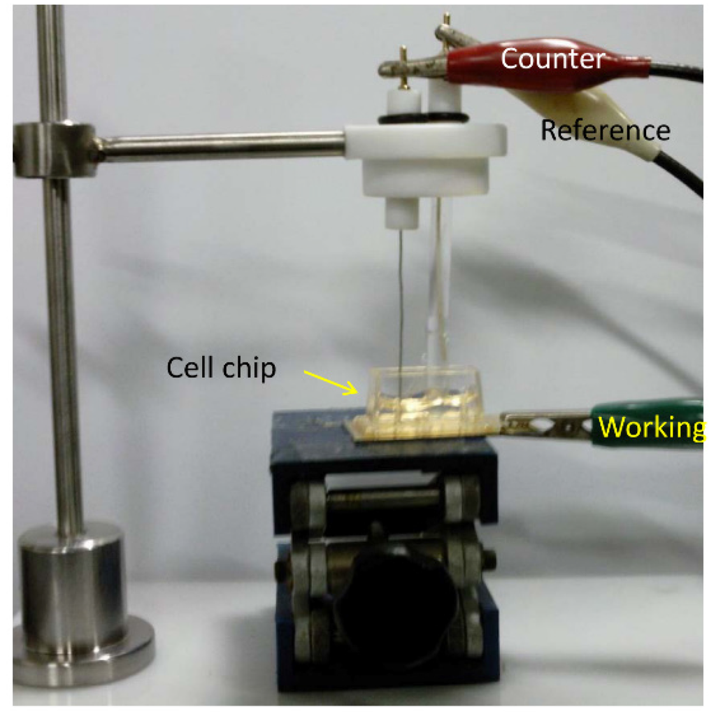 Nanomaterials 05 01181 g004 1024