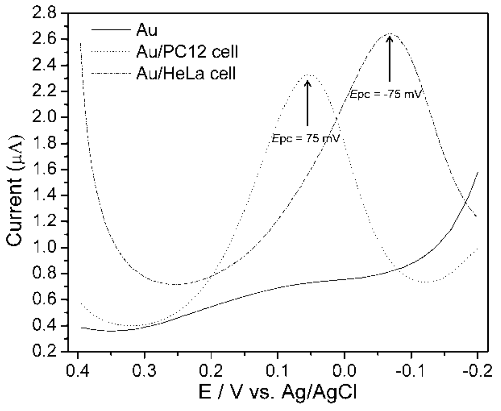 Nanomaterials 05 01181 g006 1024