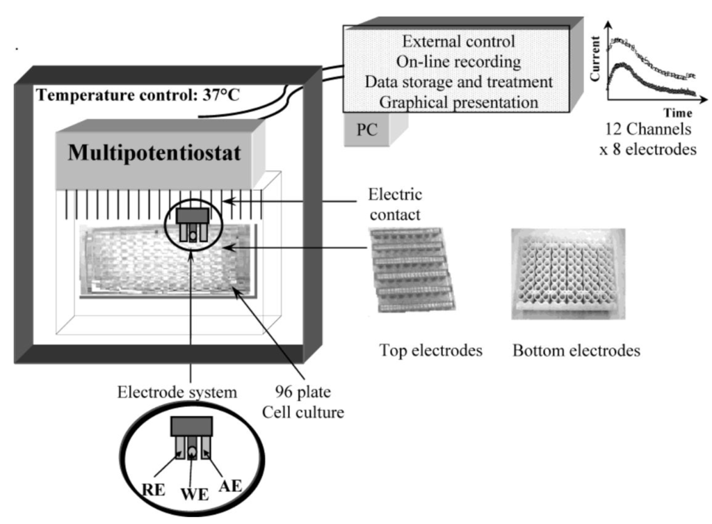 Nanomaterials 05 01181 g007 1024