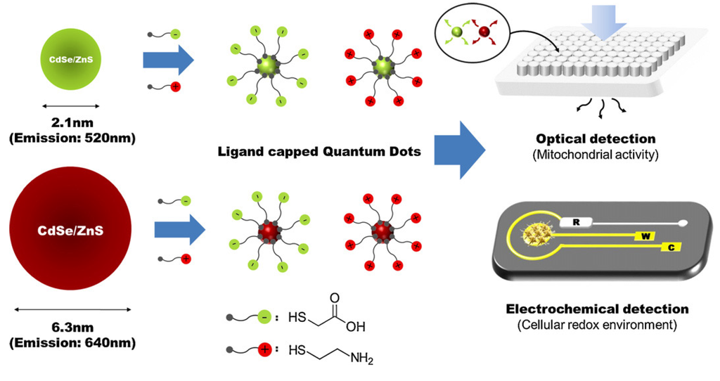 Nanomaterials 05 01181 g008 1024