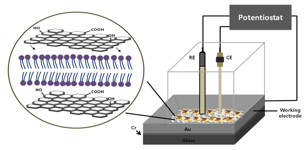 Nanomaterials 05 01181 g010 1024