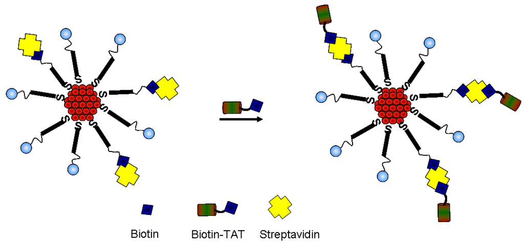 Nanomaterials 05 01211 g008 1024