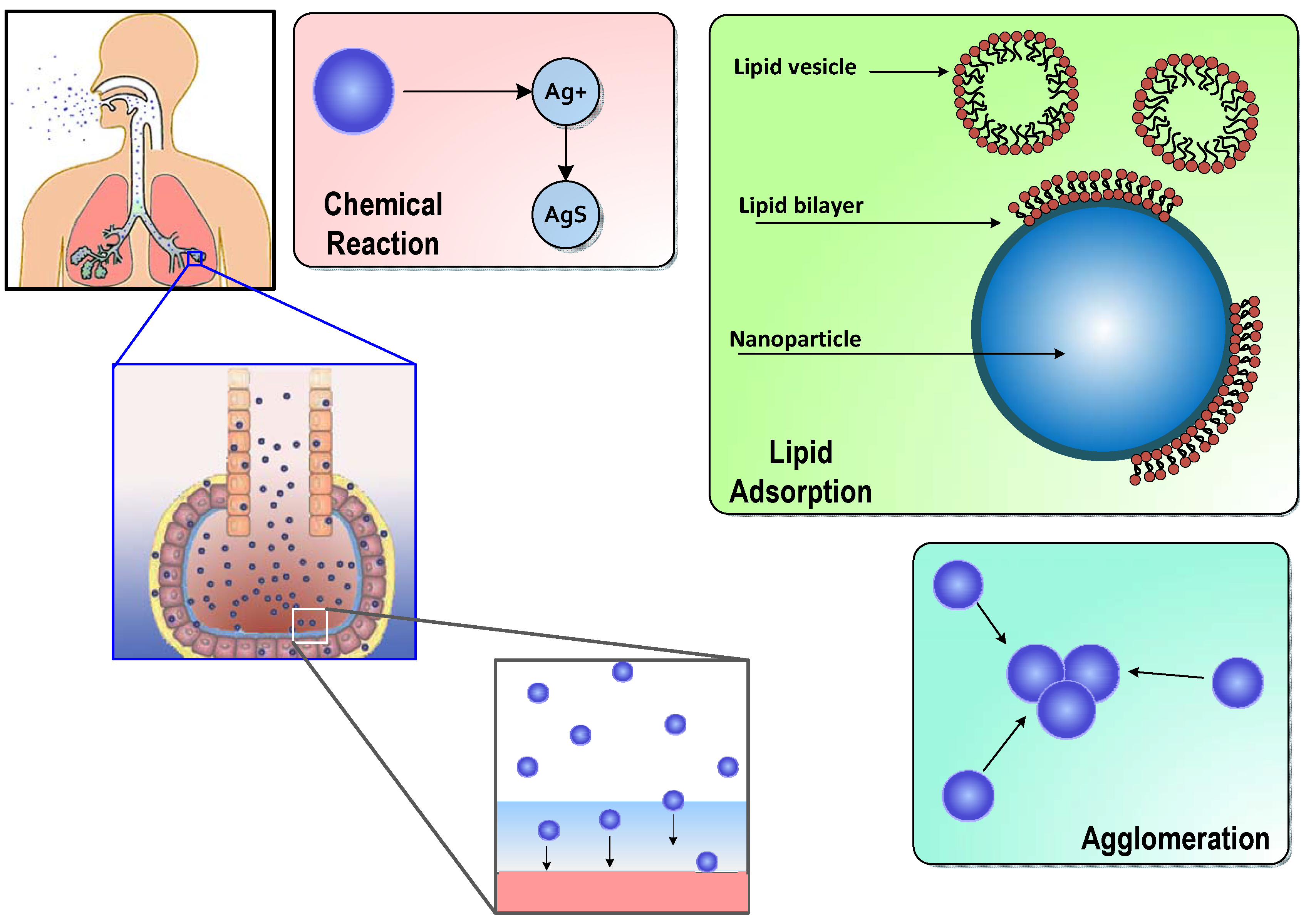 Nanomaterials 05 01223 g001