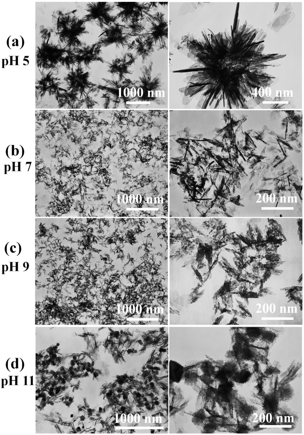 Nanomaterials 05 01284 g001 1024