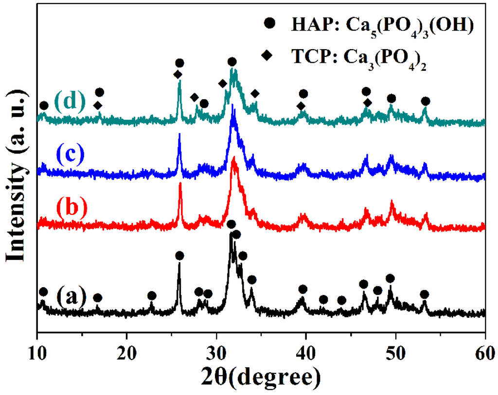 Nanomaterials 05 01284 g002 1024